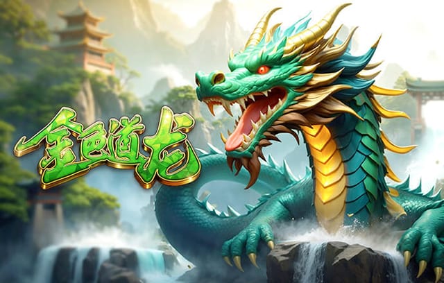 篮球一级运动员