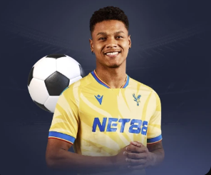 我的金轮是什么梗